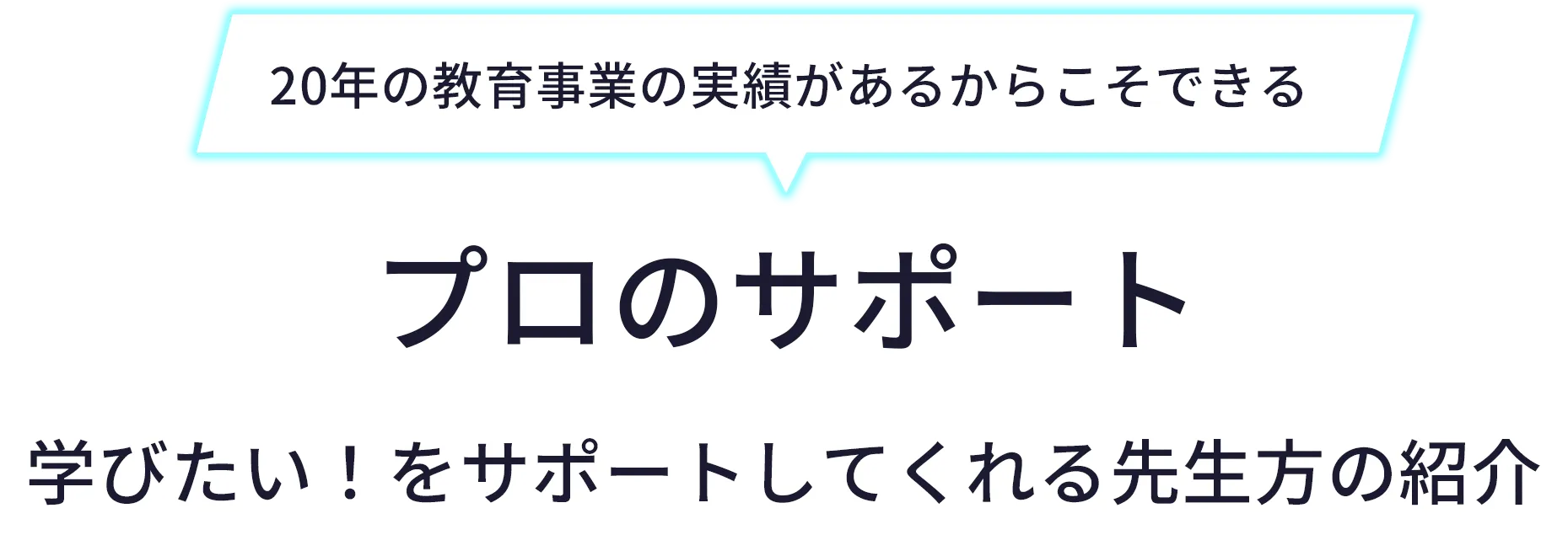 プロのサポーター